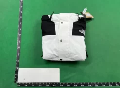 CnFans 20240315171249